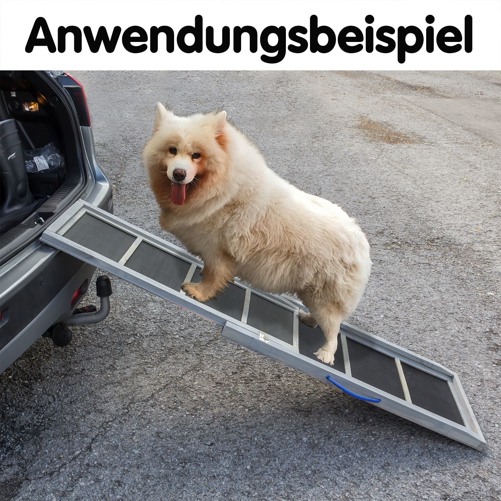 DEMA Hunderampe / Autorampe Haustier DHR1650